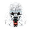 The Vicious Poodle Logo